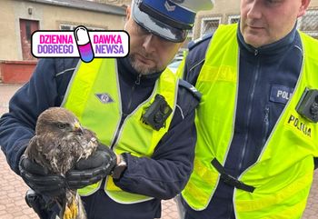 Policjanci podjęli nietypową interwencję. Odnaleźli go na poboczu drogi