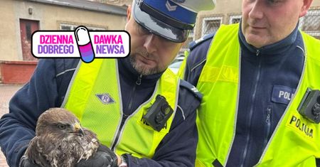 Policjanci podjęli nietypową interwencję. Odnaleźli go na poboczu drogi