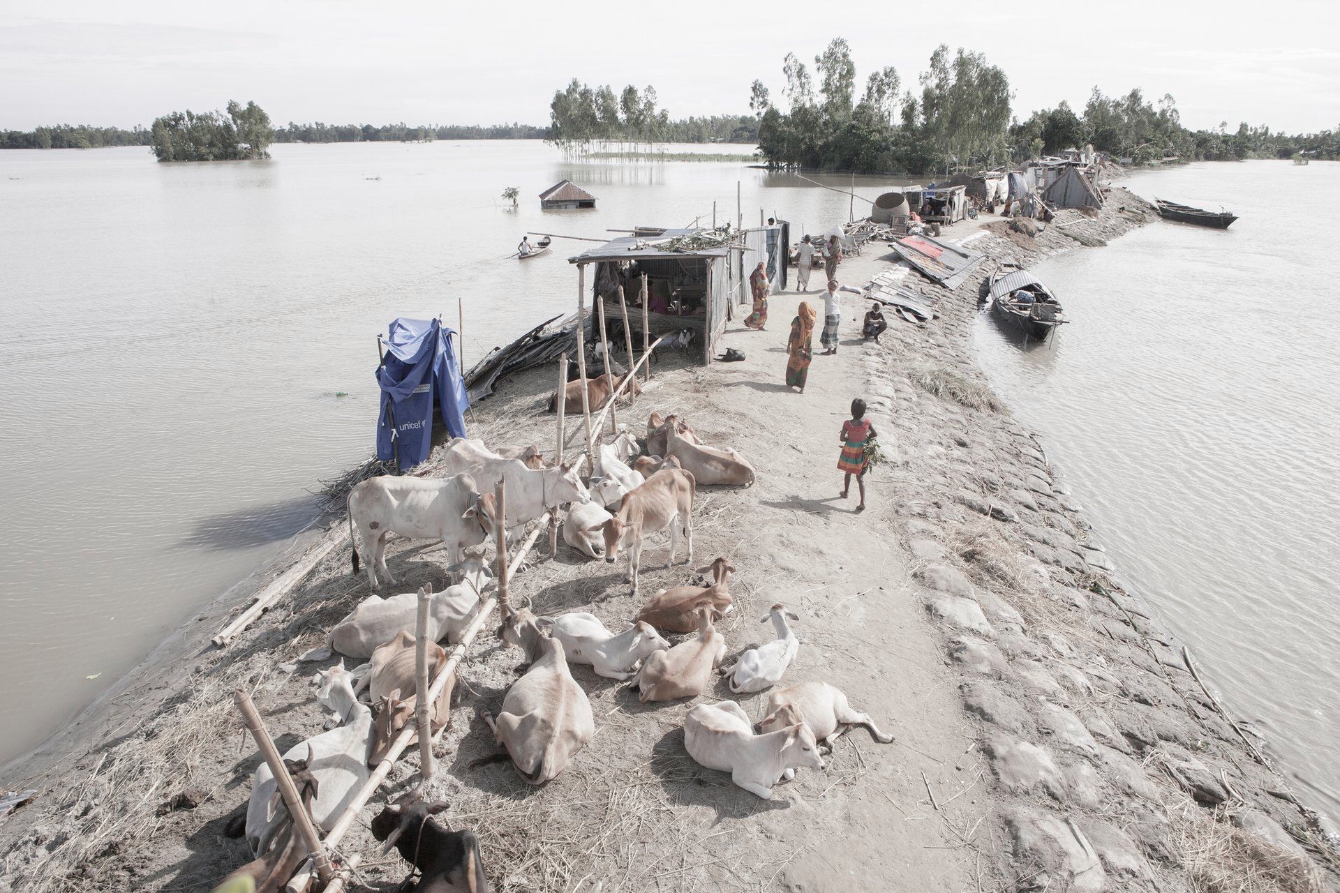 Zmiany na świecie i ważne problemy geopolityczne na zdjęciach Syngenta Photography Award 2016-17 14