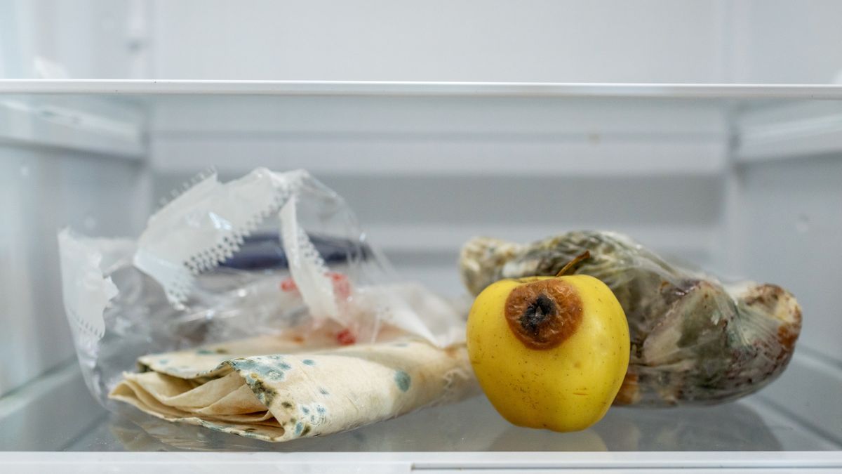 Jak przechowywać jedzenie w lodówce?