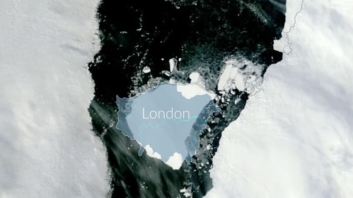 Lodowiec A81 jest wielkości Londynu, jak informują brytyjscy naukowcy.