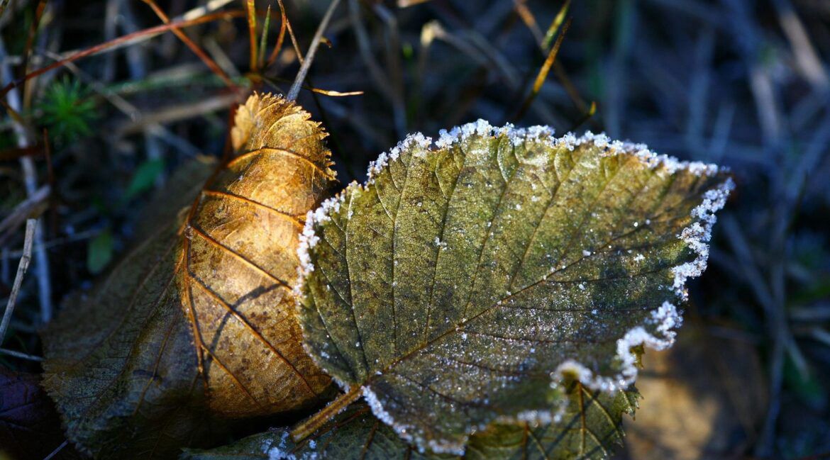 IMGW ostrzega: czekają nas duże dobowe różnice temperatur w ciągu dnia