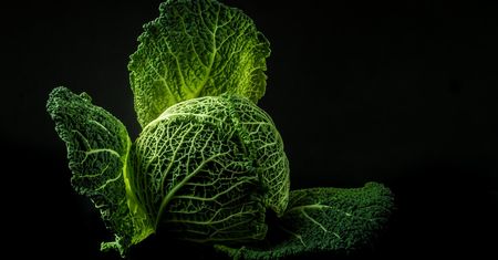 Zupa kapuściana – właściwości, dieta kapuściana, przepis