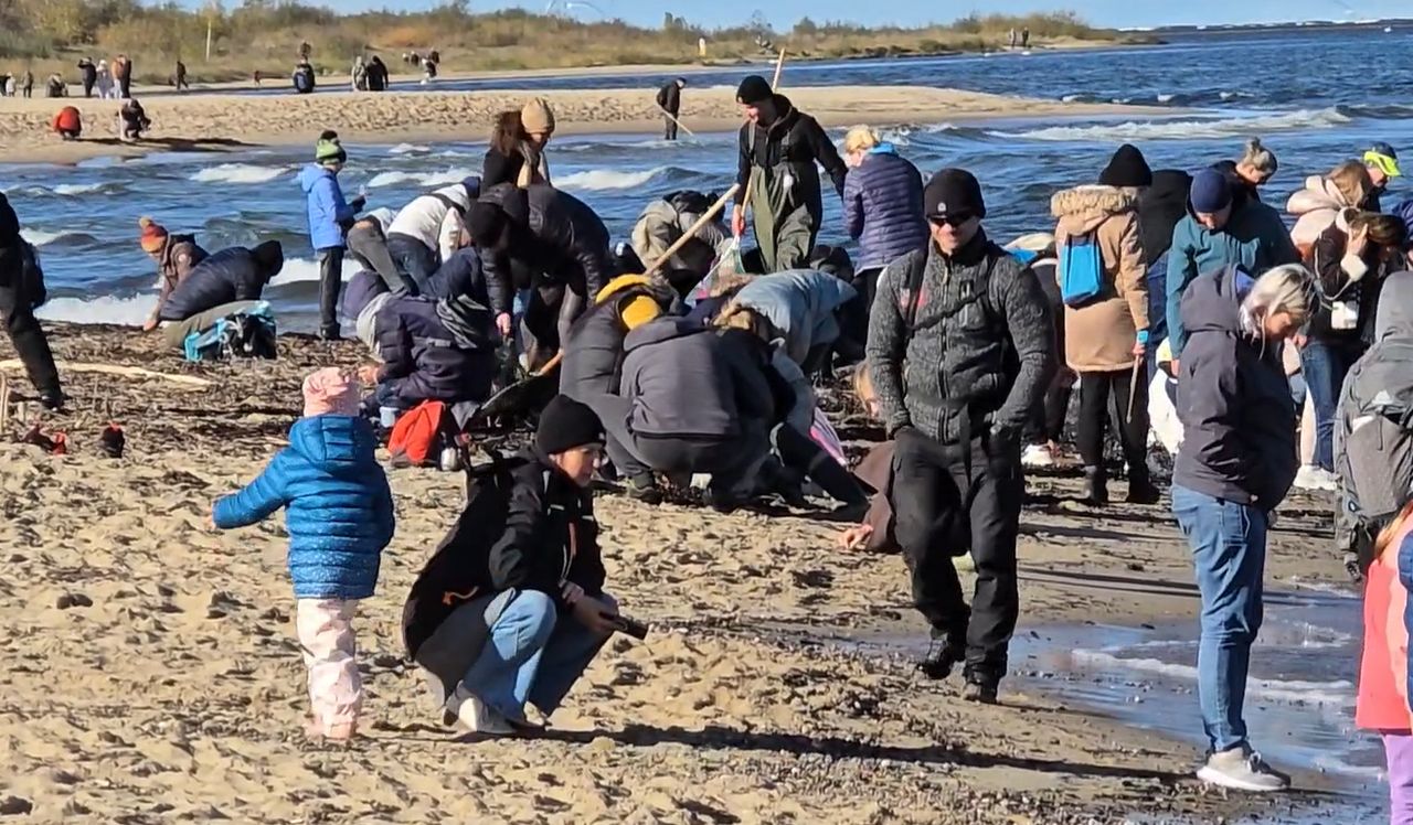 Szaleństwo nad morzem. Pełne parkingi, a na plaży aż czarno od ludzi