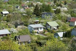 "Bijemy na alarm". Działkowcy mają spory problem