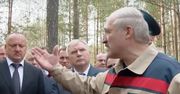 Tak wzbogaca się Łukaszenka. Nagranie z lasu