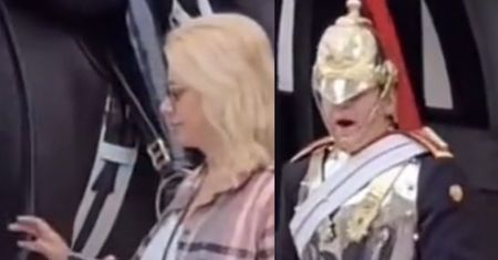 Turystka chciała dotknąć konia. Gwardzista ostro zareagował