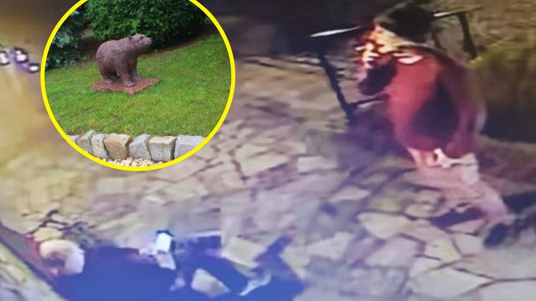 Złodzieje ukradli uwielbianego niedźwiedzia 