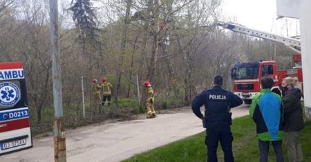 12-latek wspiął się na słup średniego napięcia. Makabryczny finał
