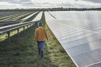 Zielona energia. Sprawdź w krzyżówce czy wiesz, jak chronić środowisko