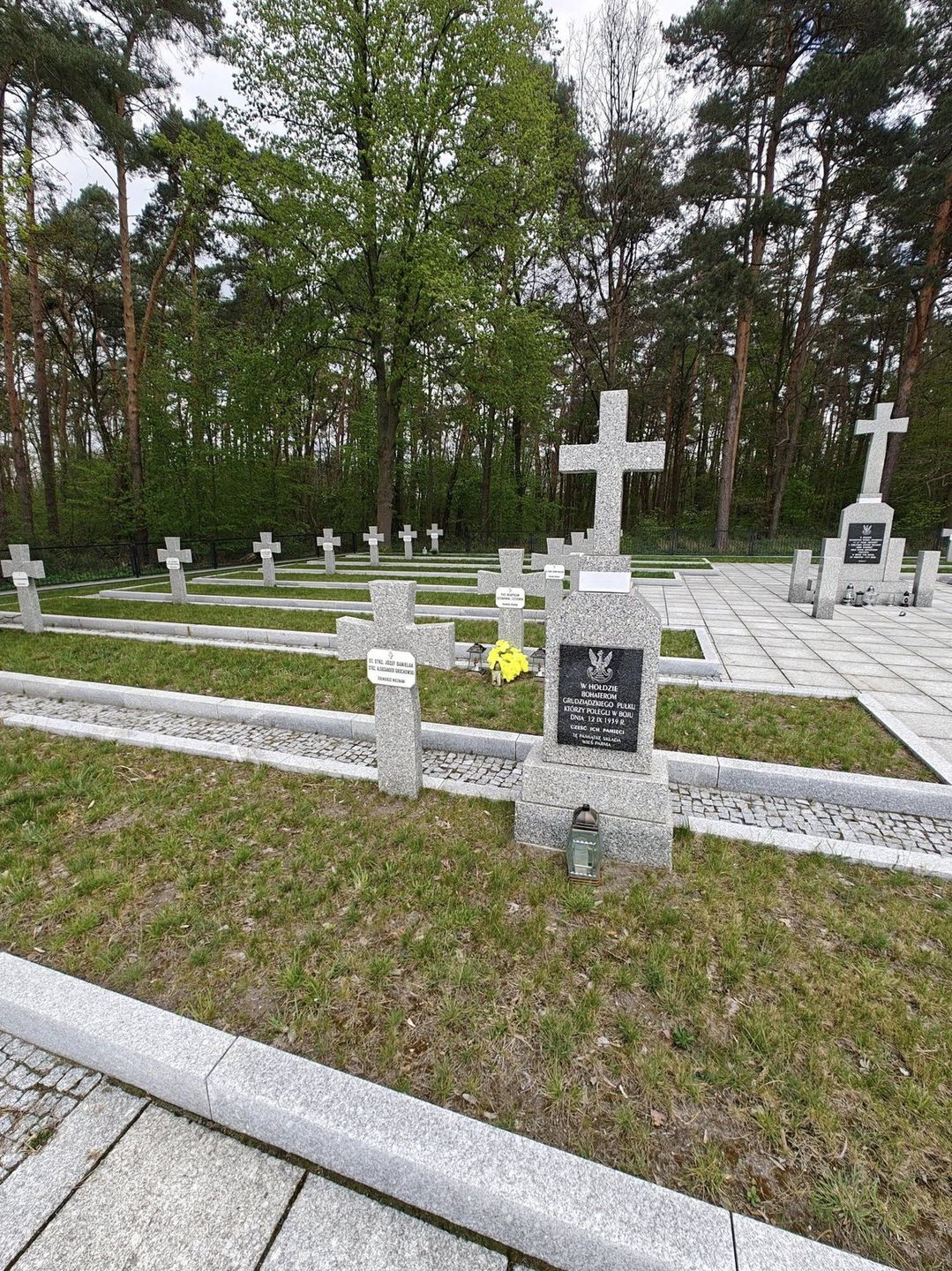 Cmentarz wojenny w Guźni