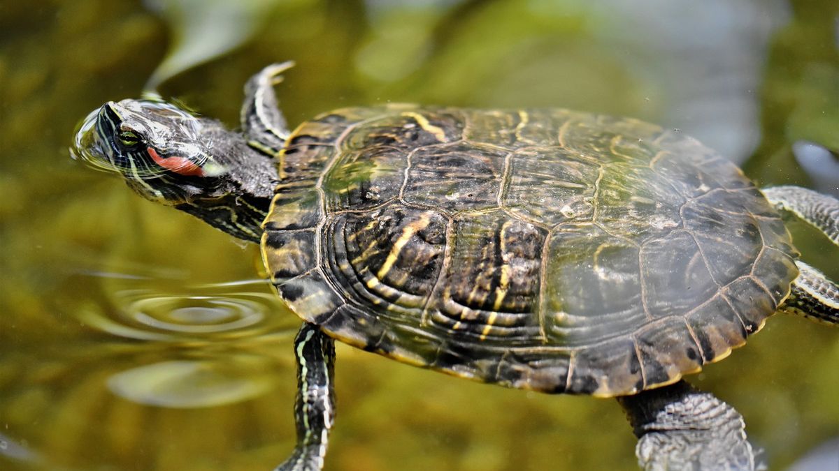 Zdjęcie ilustracyjne. 
