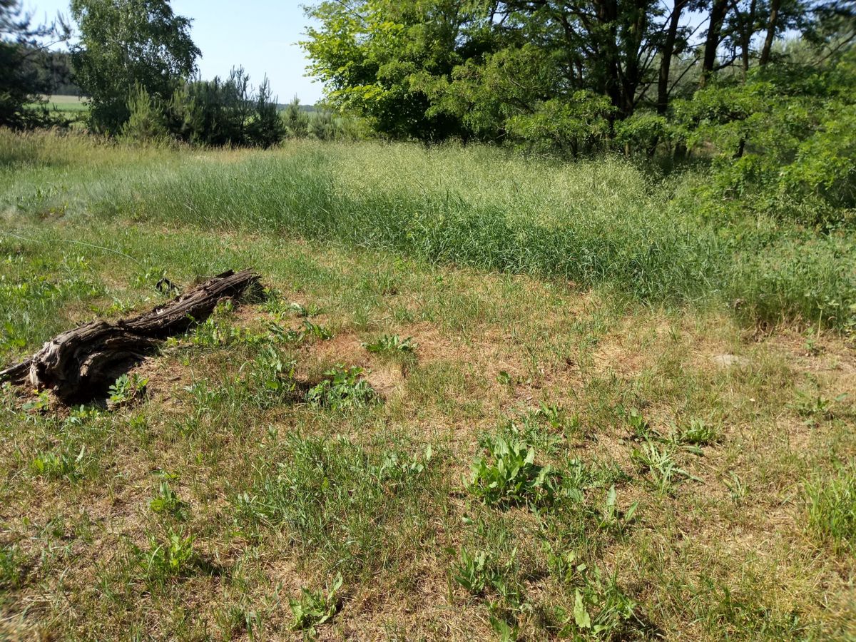 TP-Link Neffos C7 – test bardzo udanego smartfonu za 500 zł 23