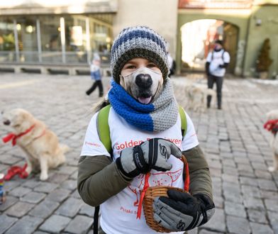 WOŚP 2021. Poznań opanowały psy