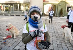 WOŚP 2021. Poznań opanowały psy