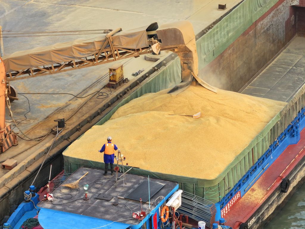 Rosja po cichu sprzedaje ukradzione zboże. Ukraina ostrzega Izrael