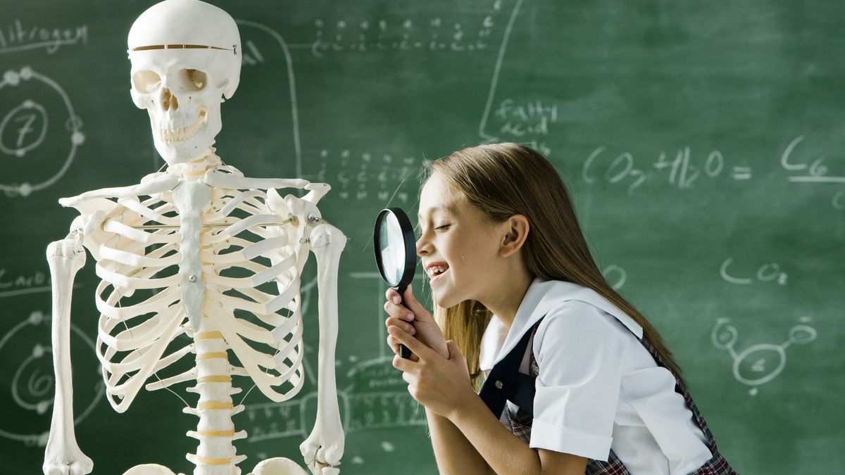 Krzyżówka z anatomii