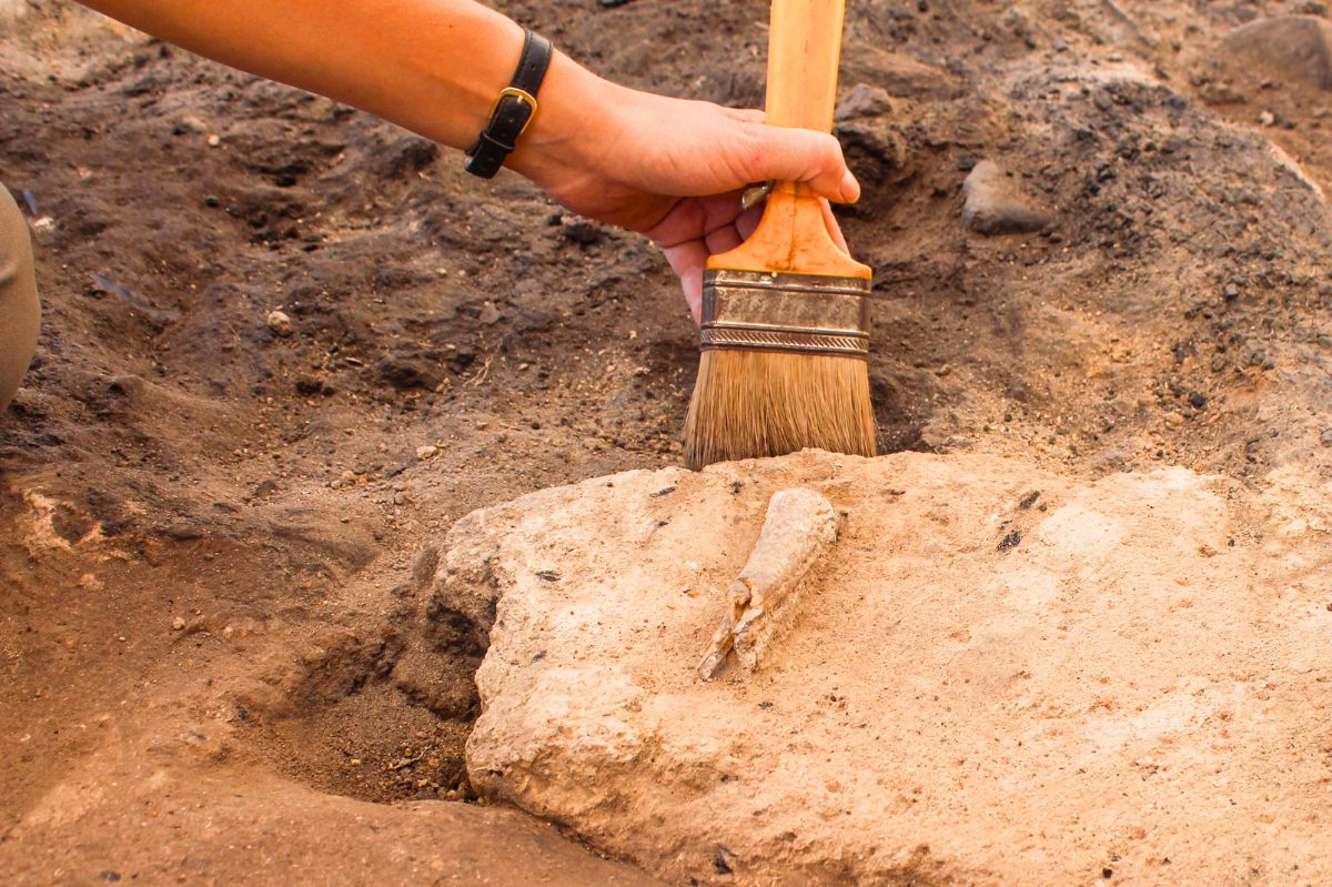 Archeolog omiata pędzlem skałę