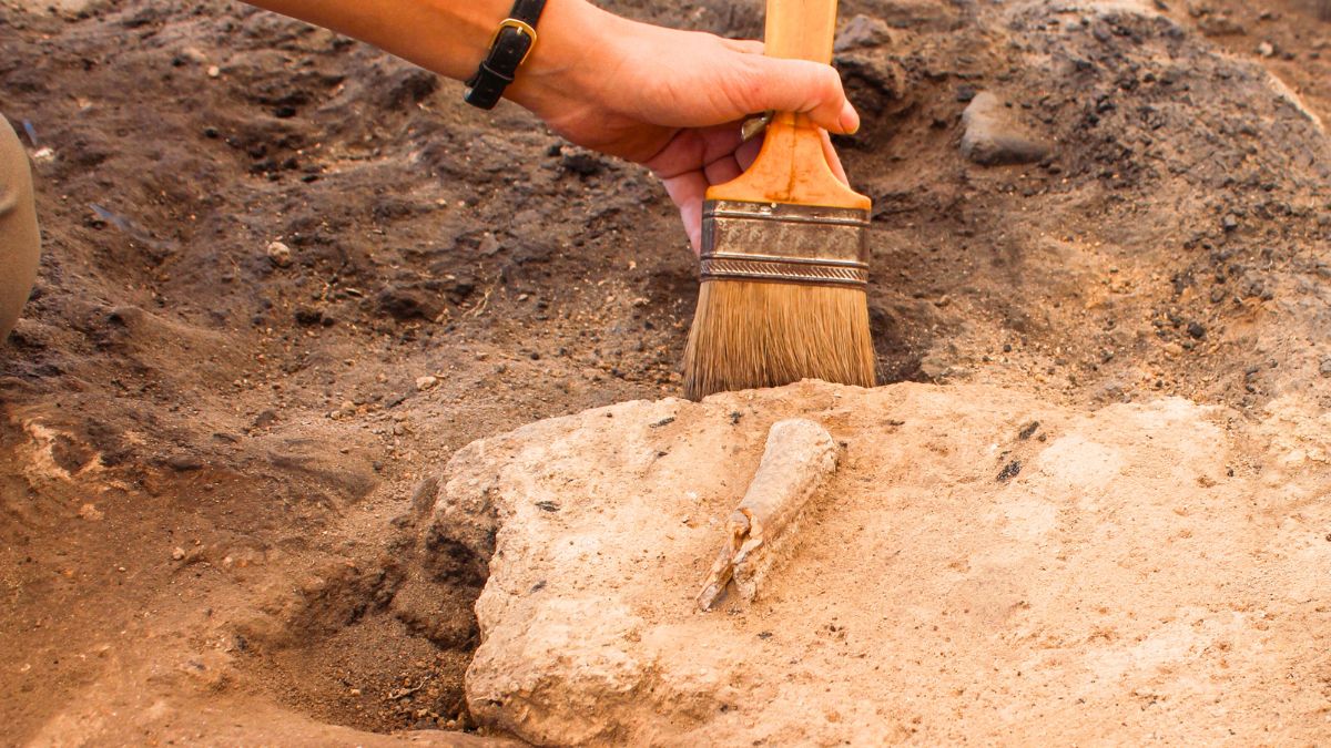 Archeolog omiata pędzlem skałę