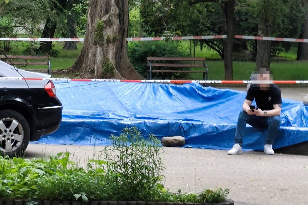 Makabryczne odkrycie na LSM-ie. Kilkadziesiąt martwych ptaków w fontannie, teren zabezpieczony przez policję