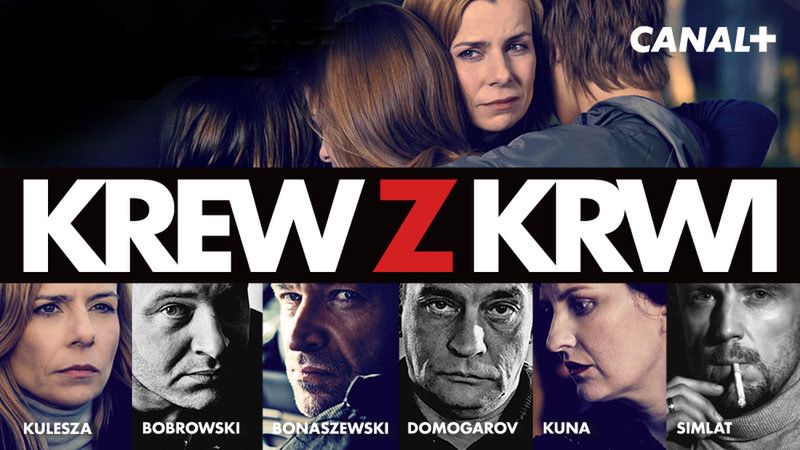 Serialowcy* w Sieci. Dlaczego internauci oglądają seriale zagraniczne, a nie polskie? 4