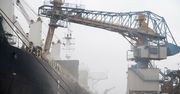 Terminal zbożowy w Gdyni. Jest decyzja ws. dzierżawy