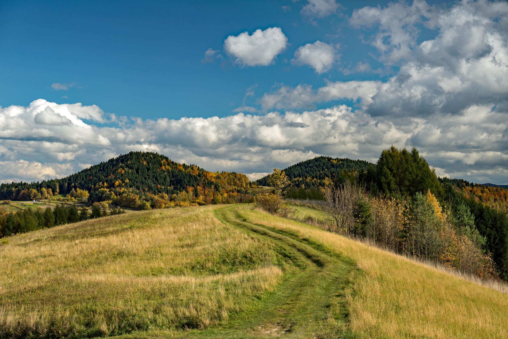 Nowa linia będzie przebiegać przez Beskid Wyspowy