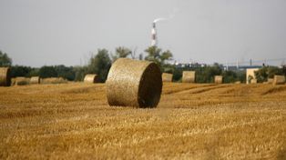 Początek żniw może być upalny. Najpierw wysokie temperatury, potem burze