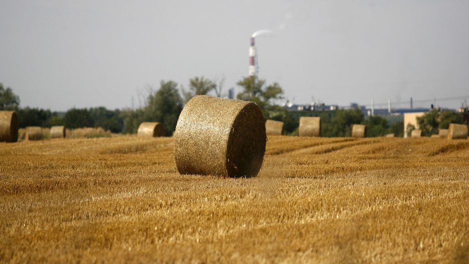 Nowy miesiąc rozpoczyna się upalnie. Pogoda utrzyma się do startu żniw?