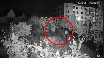 "Z premedytacją podszedł". Niewiarygodne, że zrobił to psu sąsiadki