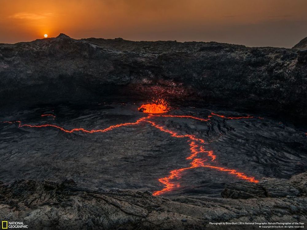Fotografie natury, która nie przestaje zachwycać. Oto finałowe prace konkursu National Geographic Nature Photographer of the Year 2016 29