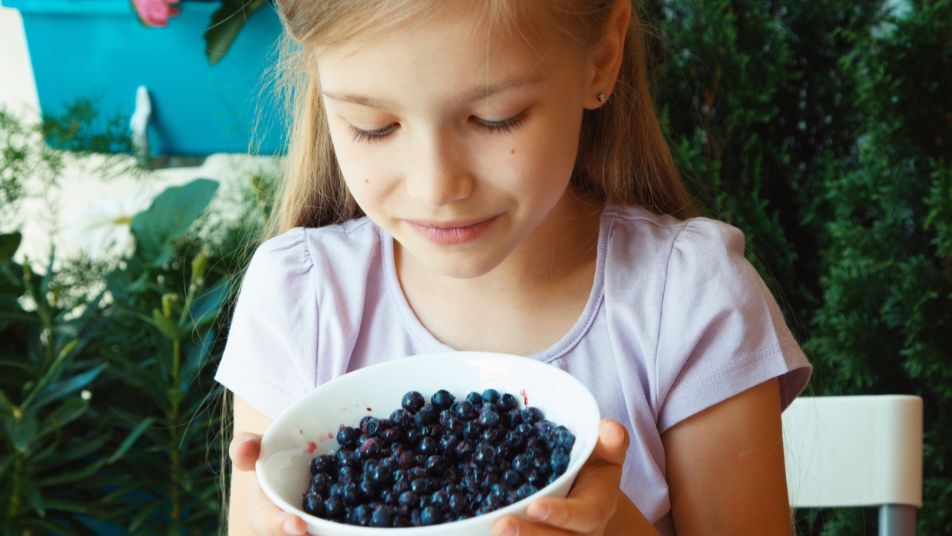 Borówka zawiera witamy A, C, E, i K.