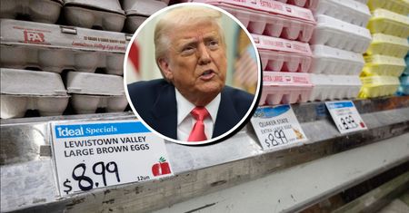 Kryzys jajeczny w USA. Ceny wystrzeliły, rośnie przemyt. "Trump poszuka winnego"