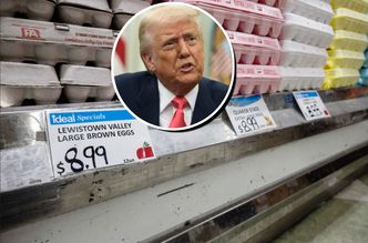Kryzys jajeczny w USA. Ceny wystrzeliły, rośnie przemyt. "Trump poszuka winnego"