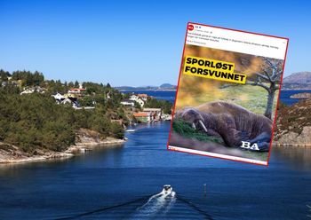 Widok przyciągnął uwagę miejscowych. "Takie sytuacje nie zdarzają się często"