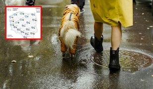 Nadchodzi gwałtowne ochłodzenie: ulewy, burze i przymrozki