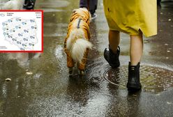 Nadchodzi gwałtowne ochłodzenie: ulewy, burze i przymrozki