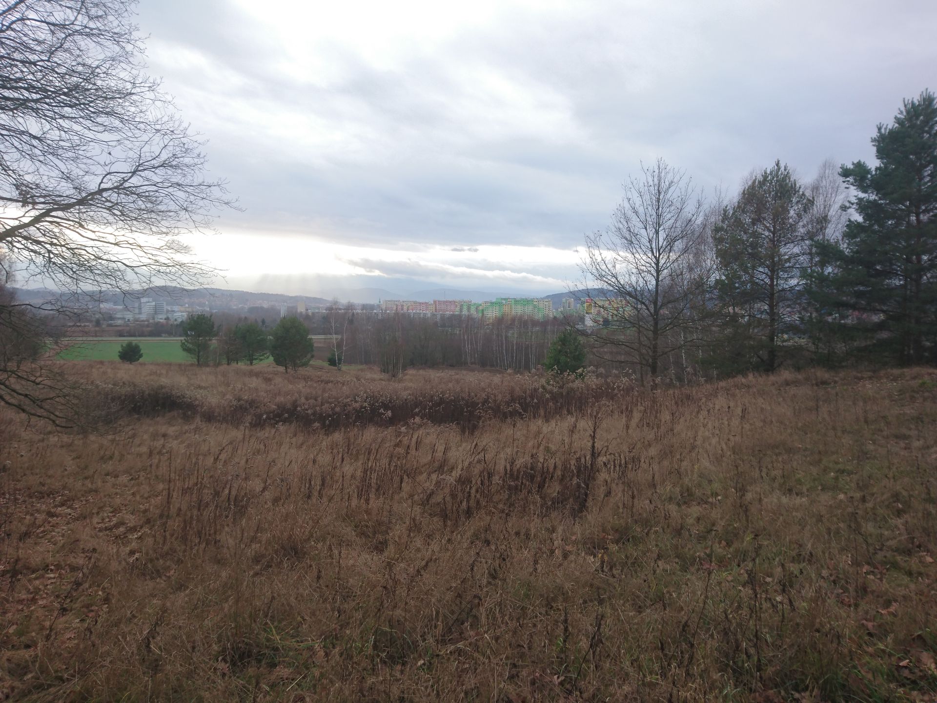 Test Sony Xperia Z5 - sprawdzamy możliwości fotograficzne flagowca 103