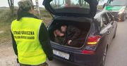 Niespodzianka w bagażniku. Złapani na gorącym uczynku