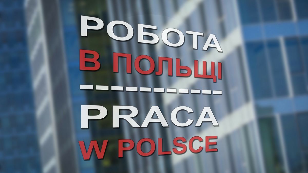 Stock ArZifot: Arkadiusz Ziolek/ East News. 22.02.2020.    n/z Napis po ukrainsku i po polsku: Praca w Polsce.ARKADIUSZ ZIOLEK