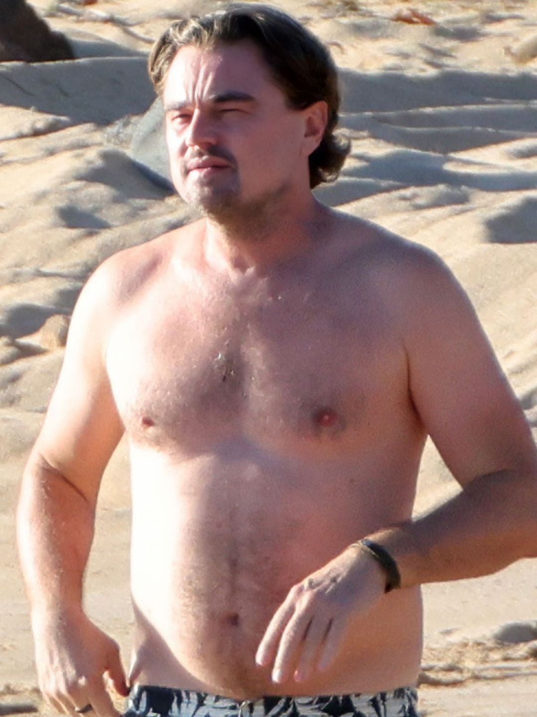 Leonardo DiCaprio
