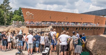 Wrocław. Rekordowe zainteresowanie ogrodem zoologicznym