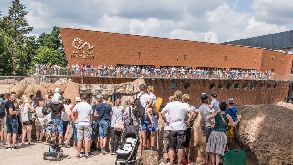 Turyści tłumnie odwiedzali zoo w tym roku