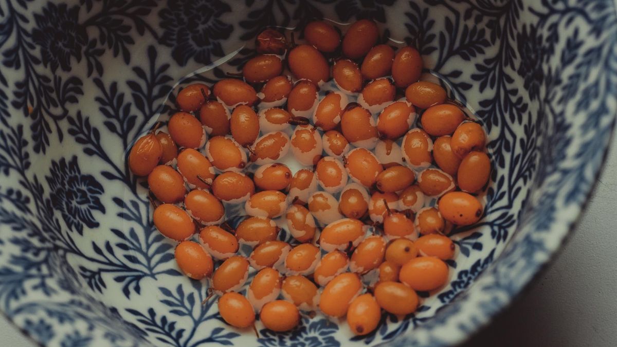 Rokitnik zawiera więcej witaminy C niż cytrusy, a do tego zmniejsza ryzyko wielu chorób, w tym nowotworów