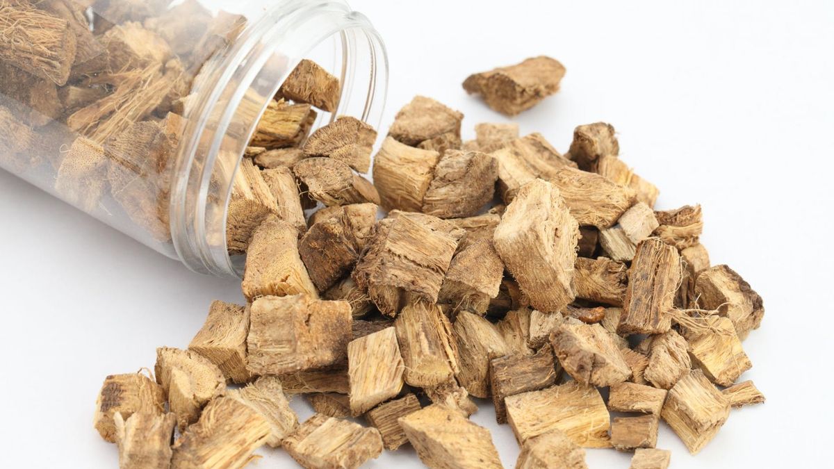 Kudzu root w medycynie niekonwencjonalnej stosuje się w leczeniu wielu dolegliwości.