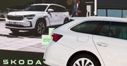 Škoda napędza sprzedaż Grupy VW w Polsce. Jedna marka zaliczyła spadek