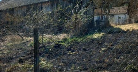 Policjanci ugasili pożar traw i uratowali kobietę – liczyła się każda sekunda