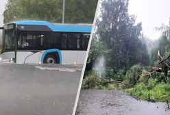 W ciągu godziny Zamość znalazł się pod wodą. "Przerażający rekord"