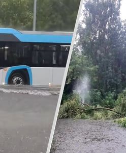W ciągu godziny Zamość znalazł się pod wodą. "Przerażający rekord"