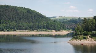 Pilchowice: Jezioro Pilchowickie pokryło się zielonym kożuchem. Turyści, przyjeżdżający podziwiać zaporę w Pilchowicach i słynny most, są przerażeni